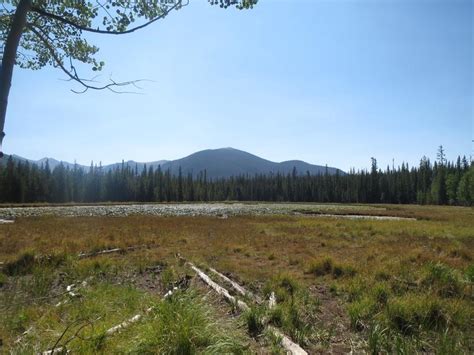Roosevelt National Forest Northern Colorado Biking Boating