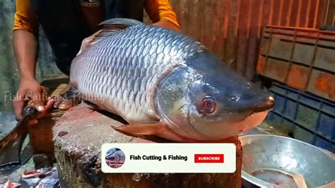 Amazing Giant Rohu Fish Cutting Skills Live Rohu Fish Cutting In