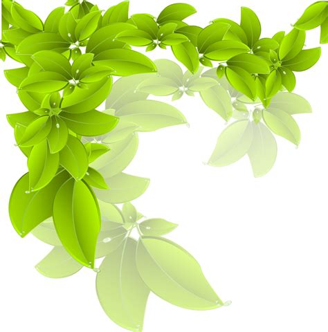 Branch Green Leaf Vector Leaves Png Download 13441363 Free