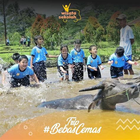 Perkembangan Wisata Edukasi Di Indonesia Yang Dulu Sampai Sekarang