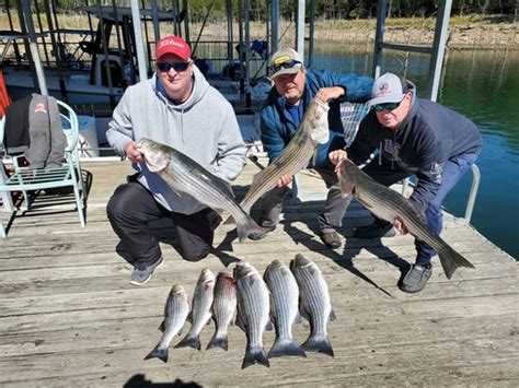 Beaver Lake Striped Bass Fishing Report Guided Striper