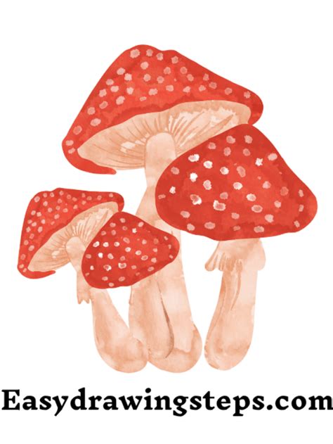 7 Easy Steps To Draw Mushroom Drawing