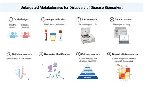 Untargeted Metabolomics For Discovery Of Disease Biomarkers Biorender