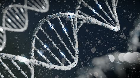 4 Uses For Dna Sequencing Dluxe Magazine