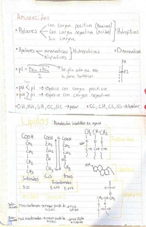 Solution Introducci N A La Biolog A Celular Y Molecular Resumen