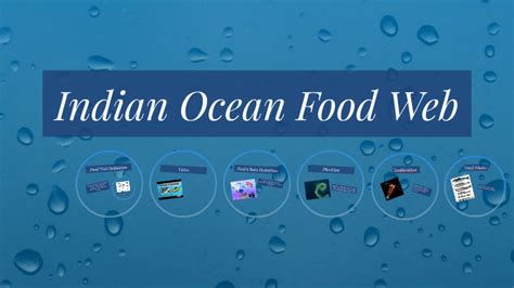 Indian Ocean Food Web By Tudor Serban On Prezi