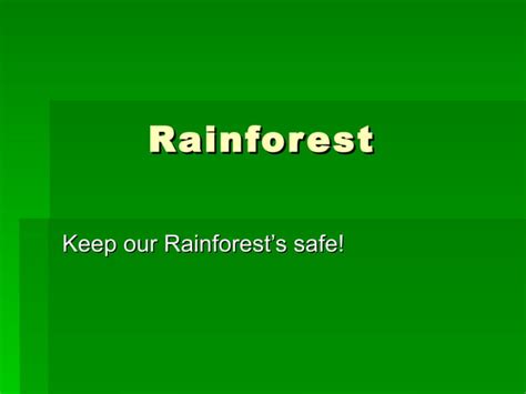 Rainforest Ppt