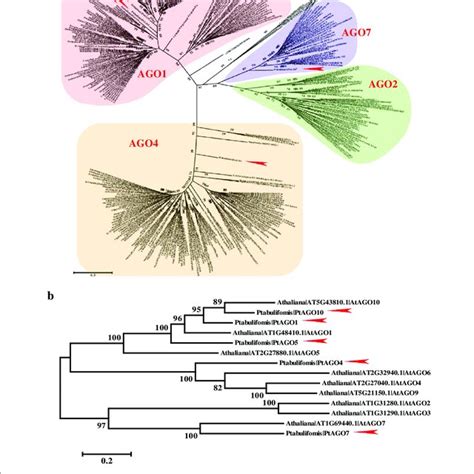 See Legend On Next Page Download Scientific Diagram