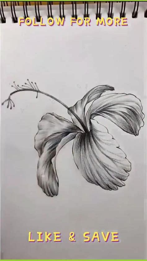 Learn How To Draw Flowers Step By Step