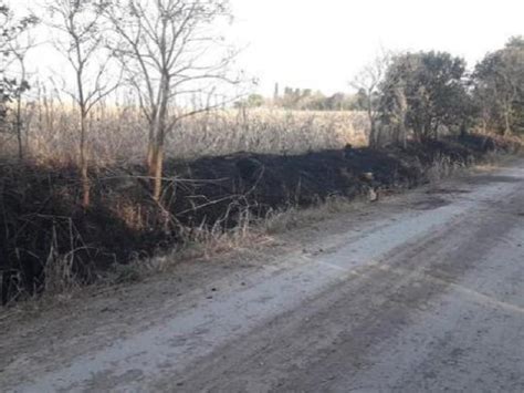 Incendio De Banquina A Pocos Metros Del Cementerio De Devoto La Voz