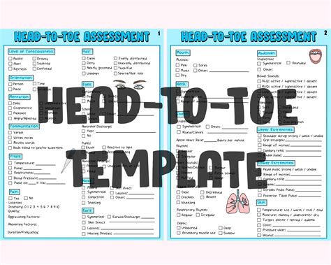 Head To Toe Template Nursing Assessment Study Guide Etsy