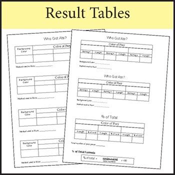 Camouflage Activities Worksheet Predator Prey By Dr Dave S Science