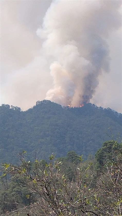 Incendio Forestal Avanza Hacia El Ca N Del Novillo Noticias