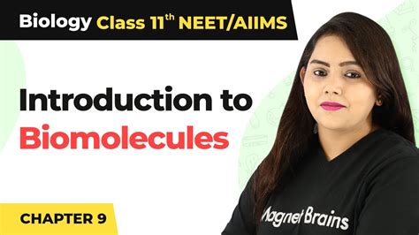 Introduction To Biomolecules Class 11 Biology Youtube