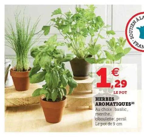 Promo Herbes Aromatiques Chez Hyper U ICatalogue Fr