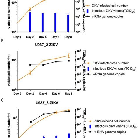 IFA Of ZIKV Antigen Positive Cells In The 3 Continuous U937 Cell Lines