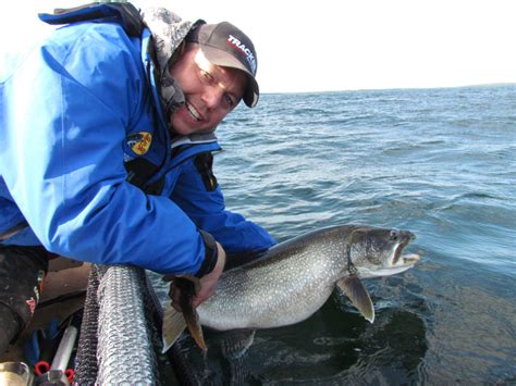 Poor Mans Downrigger For Trophy Trout