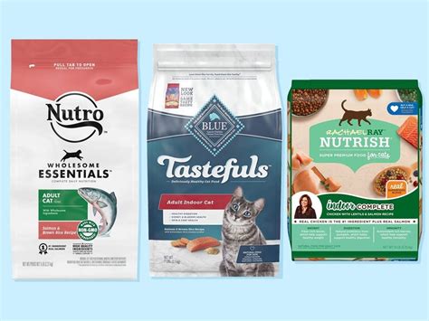 The 10 Best Premium Dry Cat Foods Of 2023