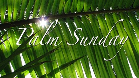 Palm Sunday Wallpapers