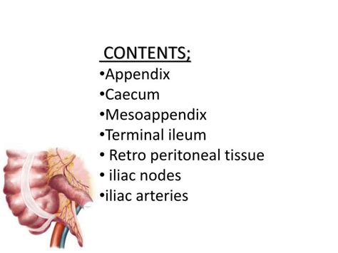 Ppt Right Iliac Fossa Mass Powerpoint Presentation Id2282476