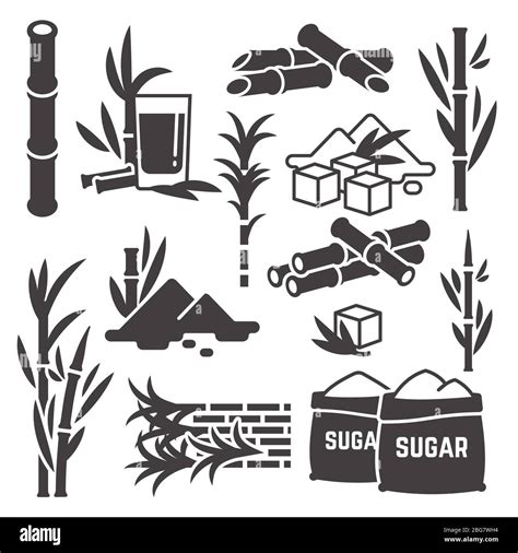 Sugar Cane Sugarcane Plant Harvest Vector Silhouette Icons Isolated On