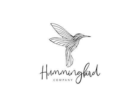 Premium Vector Handdrawn Hummingbird Logo Design Vector