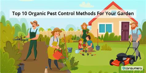 Top Organic Pest Control Methods For Your Garden Consumera