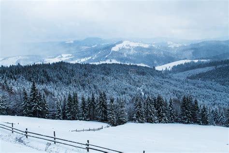 Ski Resort Bukovel Ukraine Stock Photo Image Of Landscape Europe