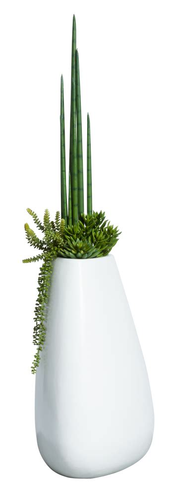 Snake Plantsucculent Combo In Tall White Pot Lux Art Silks