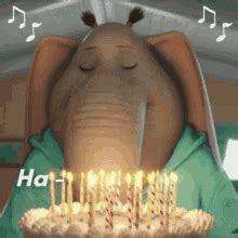 Singing Happy Birthday GIFs | Tenor