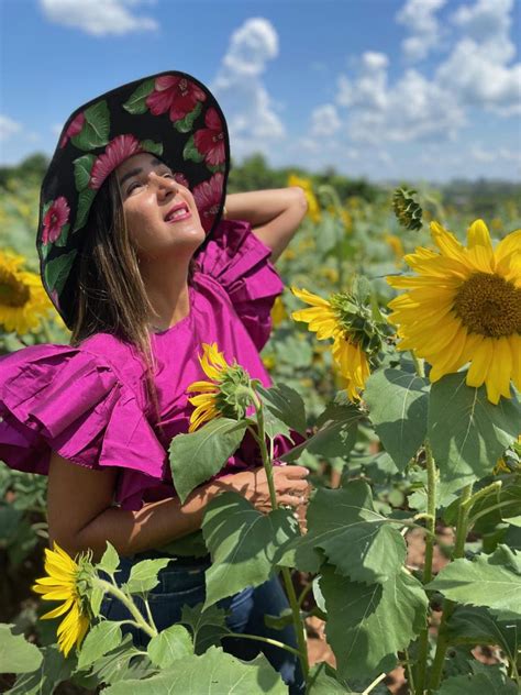 Como Visitar Um Campo De Flores Em Holambra Passos Pelo Mundo F