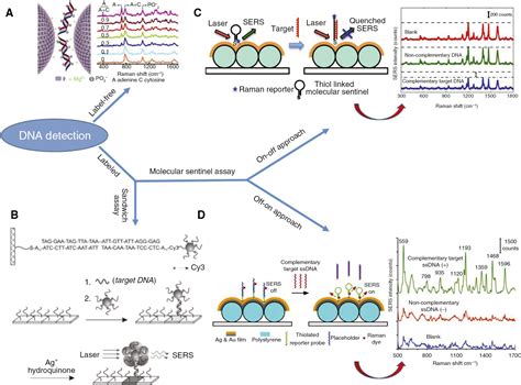 Fundamentals And Applications Of Sers Based Bioanalytical Sensing