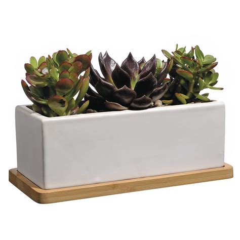 Vigoro 9 In Nipp Medium White Ceramic Rectangle Planter 9 In L X 8 5