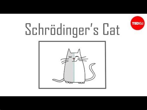 Schrödinger's Cat | Thought Experiment