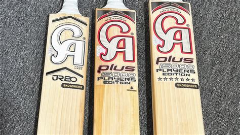 Are These The Best CA Cricket Bats Ever Jason Roy Collin Munro D