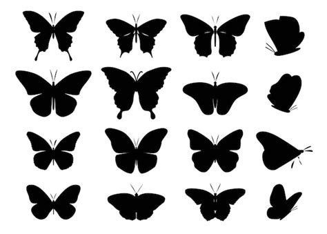 Conjunto De Siluetas De Mariposas Vector Premium