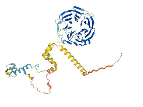 K Nstliche Intelligenz Alphafold Zeigt Wie Alle Bekannten Proteine