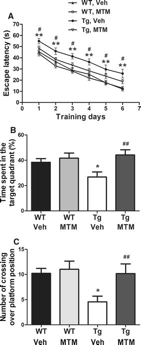 Mithramycin A Mtm Treatment Improves Spatial Learning And Memory Of