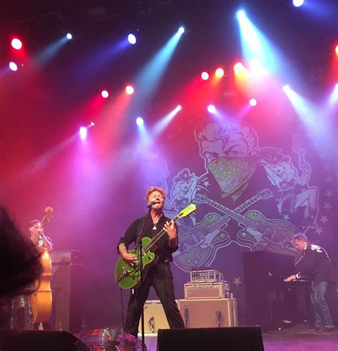 Pin On Brian Setzerstray Cats