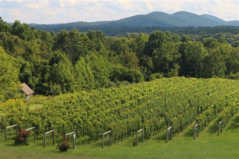 Here’s Where to Sip, Eat, And Stay In Virginia’s Wine Country - Better Living