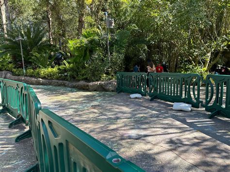 Pandora Pathway Receives Bioluminescent Upgrade