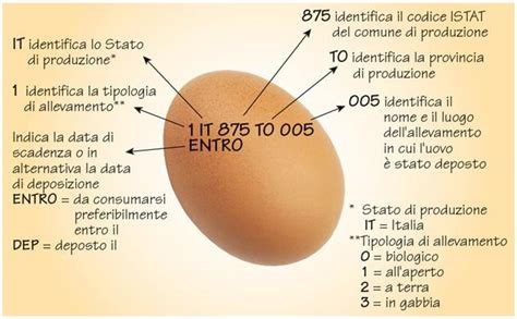 Come Leggere L Etichetta Delle Uova Quotidianpost