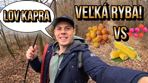 Lov kapra 2024 Súboj nástrah Kukurica vs Boilies vs Rožkové Boilies