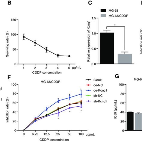 Kcnq Exerts Functions On Osteosarcoma Cell Chemosensitivity To Cddp