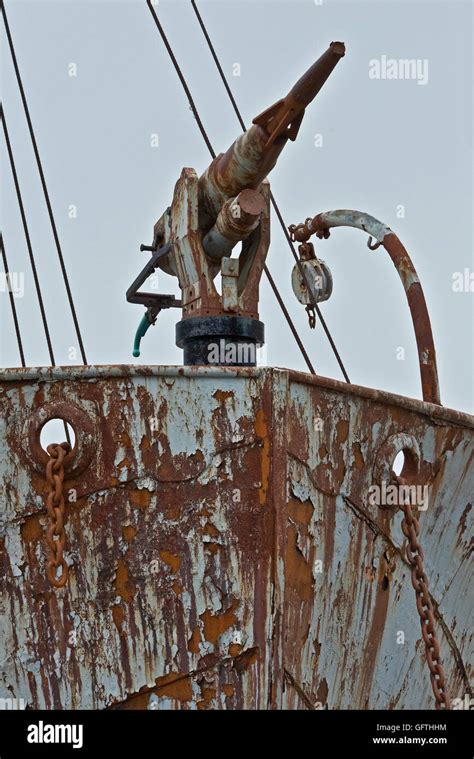 A Cannon Harpoon On The Bows Of The Petrel A Former Whaling Ship Now