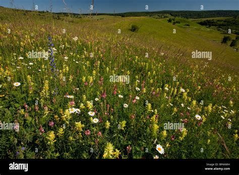 Transylvanian High Resolution Stock Photography And Images Alamy