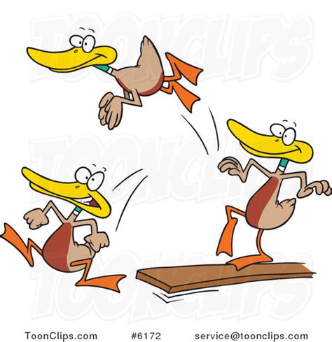 Cartoon Mallard Ducks Jumping Off Of A Diving Board 6172 By Ron Leishman