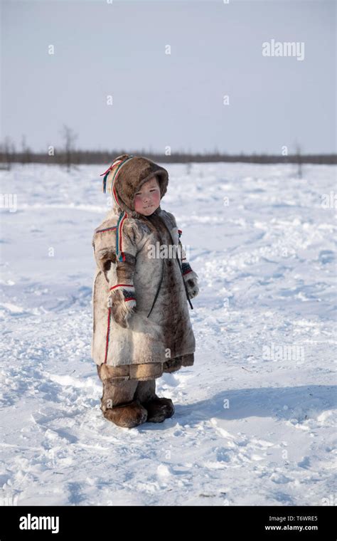 Russia Yamal Nenets Autonomous Region Yamal Peninsula Nomadic Nenets