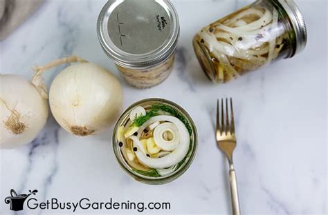 Pickled White Onions Recipe Quick Easy