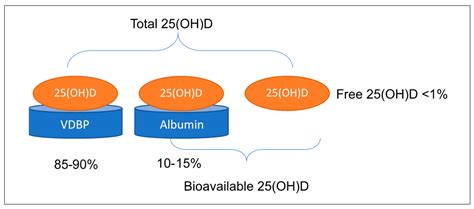 Vitamin D Binding Protein VDBP